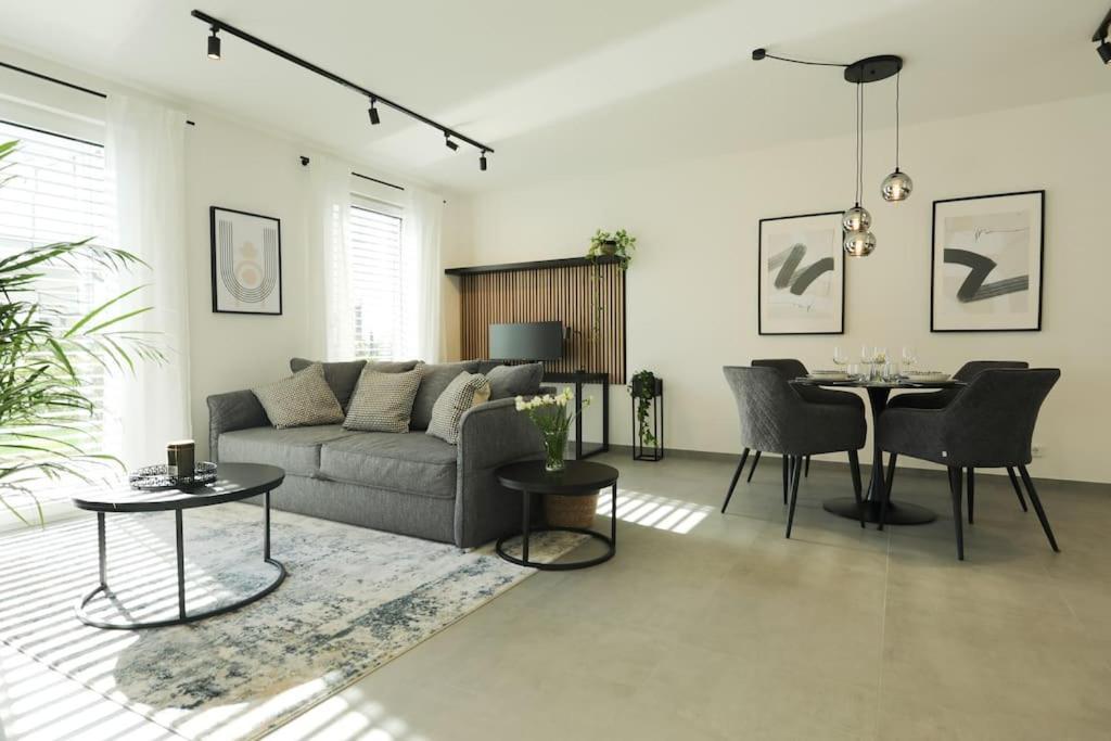 Apartment Timetidy Iii